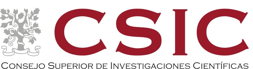 csic logo